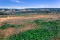 Wild flowers and scenic view at river gorge Royalty Free Stock Photo