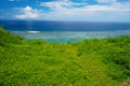 Wild flowers and Sea Horizon, Okinawa Prefecture/Japan