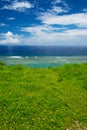 Wild flowers and Sea Horizon, Okinawa Prefecture/Japan