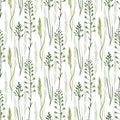 Wild flowers seamless pattern background. Vector eco print for packaging design or textile