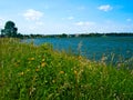Lake Bemidji with Wild flowers on the south shore in Bemidji Minnesota