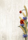 Wild flowers with spikelets on a white wooden background