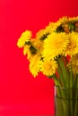 Wild flowers in a vase, bouquet