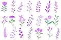 Wild flowers violet vector collection. herbs isolated on white background. Hand drawn detailed botanical vector illustration. Royalty Free Stock Photo