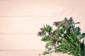 Wild flowers and white wooden background Royalty Free Stock Photo