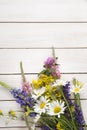 Wild flowers on white wooden deck background chamomile lupine d Royalty Free Stock Photo