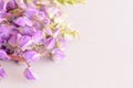 Wild flowers on wooden background with copy space Royalty Free Stock Photo