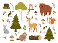Wild forest animals. Bear, squirrel and deer, beaver and hare, woodpecker and mushrooms, fir tree and birch, berries