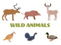 Wild forest animals with boar, deer, moose, duck, grouse and partridge.