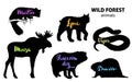 Wild forest animals set. Moose, marten, lynx, raccoon dog, beaver, viper