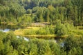 Wild forest and bending river