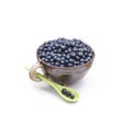 Wild forest blueberries in the clay pipkin dish with white handle on white background Royalty Free Stock Photo