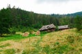 Wild forest cabin, lonesome travel landscape