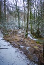 Winter landscape with fresh snow