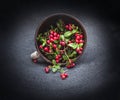 Wild forest cowberry with leaves spilled from round clay pipkin dish on dark black corners background. Front Royalty Free Stock Photo