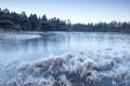 Wild forest lake frozen on winter morning Royalty Free Stock Photo