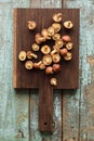 Wild forest mushrooms. Suillus luteus or Slipery Jack mushrooms