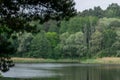 Wild forest pond or lake Royalty Free Stock Photo