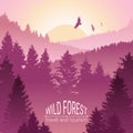 Wild forest. Sunrise, mountains, pine and spruce. Eagles, and birds in flight. Tourism and travel. Camping. The horizon line in th Royalty Free Stock Photo