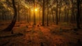 Wild Forest Wonder: A Stunning Sunset Scene Royalty Free Stock Photo
