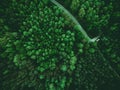 Wild forest and wonderlust car on road, aerial from above Royalty Free Stock Photo