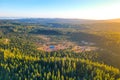 Wild forested and wet moorland from above