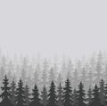 Wild forests natural background