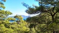 Wild forrest mountains, ocean in the distance,selective focus Royalty Free Stock Photo