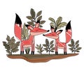 Wild foxes couple in the jungle