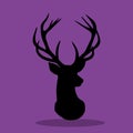 WILD AND FREE BLACK DEER HEAD HORN 20 Royalty Free Stock Photo