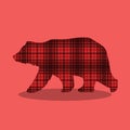 WILD AND FREE CHECKERD BEAR 01 Royalty Free Stock Photo
