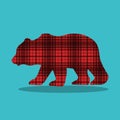 WILD AND FREE CHECKERD BEAR 25 Royalty Free Stock Photo