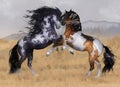 Wild And Free Two Stallions Fantasy Horse Art Greeting Card