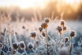 Wild frozen icy flowers. Generate ai Royalty Free Stock Photo