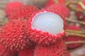 Wild fruit from forest, wild lychee Royalty Free Stock Photo