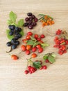Wild fruits with barberries, cornelian cherries, sea buckthorn fruits, rose hips, sloes fruits and hawthorn fruits Royalty Free Stock Photo