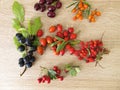 Wild fruits with barberries, cornelian cherries, sea buckthorn fruits, rose hips, sloes fruits and hawthorn fruits Royalty Free Stock Photo