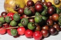 Wild fruits collection for diate plne. Fresh healthy fruits Royalty Free Stock Photo