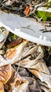 wild garbage dump. residual glass, plastics in the forest Royalty Free Stock Photo