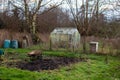 Wild garden allotment, unkept. Royalty Free Stock Photo