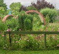 Shapes in the wild garden