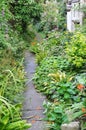 Wild Garden Pathway