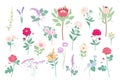 Wild and Garden Summer Flowers Collection Royalty Free Stock Photo