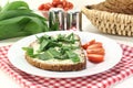 Wild garlic bread Royalty Free Stock Photo