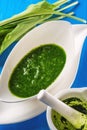 Wild garlic leaves with mortar and garlic soup in white plate on blue wooden background, healthy lifestyle, seasonal spring herb Royalty Free Stock Photo