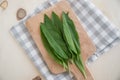 Wild garlic, ramson Royalty Free Stock Photo