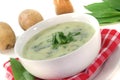 Wild garlic soup Royalty Free Stock Photo