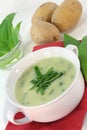 Wild garlic soup Royalty Free Stock Photo