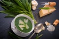 Wild garlic soup with Parmesan Royalty Free Stock Photo