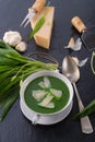 Wild garlic soup with Parmesan Royalty Free Stock Photo
